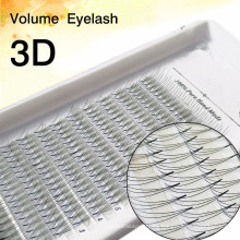 Ventiladores de volumen prefabricados 3D 4D 5D Korean PBT Material Eyelash